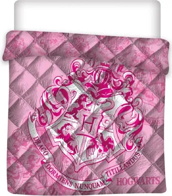 Zdjęcie produktu dla Koc Harry Potter - 240x220 cm, 100% poliester do pokoju dziecięcego i nie tylko