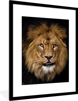 Produktbild von MuchoWow® Gerahmtes Poster Löwe - Porträt - Schwarz - Tiere 60x80 cm - Poster mit Schwarzem Bilderrahmen Wandposter Rahmen Foto Bilder - Wohnzimmer - Dekorationen - Prämie