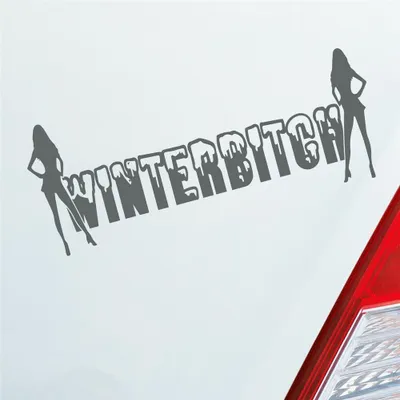 Produktbild von Auto Aufkleber Winterbitch Winter Bitch Schnee Tuning 15x6 cm Grau Sticker Heckscheibenaufkleber