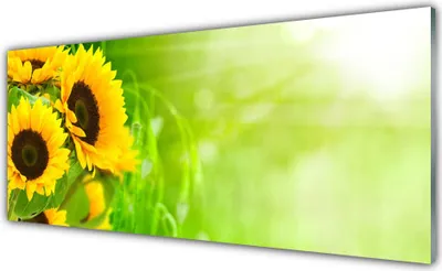 Produktbild von Glasbilder 125x50 Wandbild Druck auf Glas Sonnenblumen Pflanzen