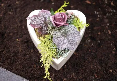 Produktbild von Grabgesteck Keramikherz mit Rose Ø ca. 15 cm H ca. 11 cm brombeer