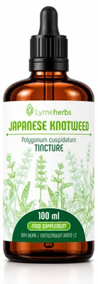 Immagine prodotto di Reynoutria japonica, tintura 1:2 (100ml)