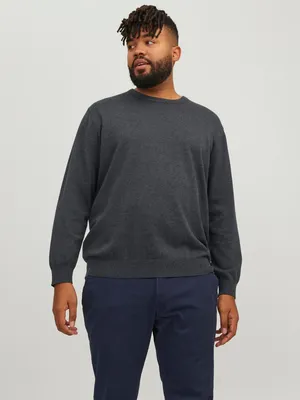 Zdjęcie produktu dla Jack & Jones 12250588_2383.3163, EU4XL, US2XL, Okrągły dekolt, Długi rękaw, 1 szt.