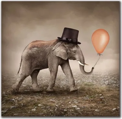 Produktbild von TPFLiving Kunstdruck LW-863 (OHNE RAHMEN) Poster - Leinwand - Wandbild - Hochauflösender Giclée-Druck, langlebig und hochwertig - Lustiger Elefant mit Hut und Luftballon in braun - Größe: 70x70cm