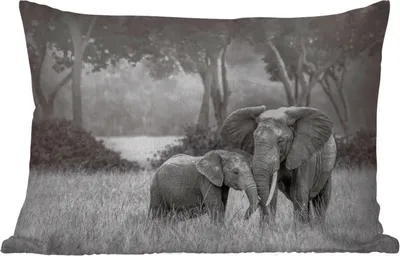 Produktbild von MuchoWow® Outdoor Kissen - Elefant - Tiere - Natur - Schwarz und weiß - 50x30 cm - Wetterfest - Lounge Kissen - Sofa kissen - Wohnzimmer Dekoration