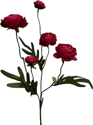 Produktbild von Künstliche Blume Ranunkel burgunderrot 52cm
