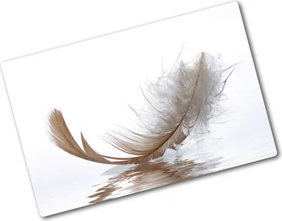 Produktbild von Tulup Glas Herdabdeckplatte - 80x52 cm - Glaskeramikkochfeld-Abdeckung Spritzschutz Glasabdeckplatte - Einteilig - Kunst: Modern & Klassisch - Feder Wasser - Beige