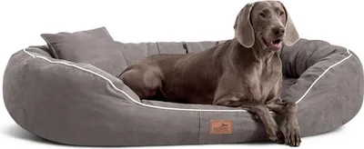 Produktbild von tierlando® Orthopädisches Hundebett MARLON VISCO PLUS Velours - Größe: 170x110cm | Farbe: 06 Grau