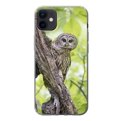 Produktbild von MuchoWow® Handyhülle Schutzhülle Hülle für iPhone 12 mini Eule - Wald - Licht Silikon Softcase Handy Hülle - Bild