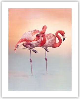 Produktbild von Poster - Poster ohne Rahmen - Flamingos Exotik Vögel - 40x50 cm - Wand Bild - Wanddeko - Wandbilder - Kunstposter - Wandposter - Bilder - Kunstdruck - Wanddekoration - Wandbild - P2XPA40x50-5044