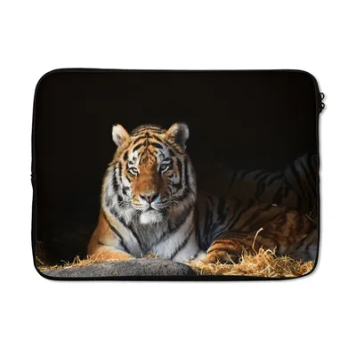 Produktbild von MuchoWow® Laptop Hülle 14 ZollTiger - Stroh - Schatten Laptoptasche - Laptoptasche - Stoßsicher - Schutzhaube