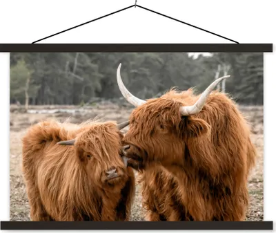 Produktbild von MuchoWow® Textilposter Schottisches Hochlandrind - Tiere - Wald 150x100 cm mit schwarzem Rahmen - Schlafzimmer