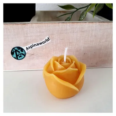 Produktbild von Bienenwachskerze Schildkröte Tierkerze Figurenkerze Honigkerze
