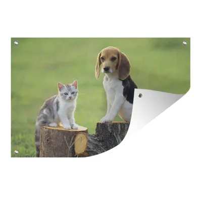 Obrázek produktu pro MuchoWow® Zahradní plakáty - Kočka - pes - strom - 40x60 cm - Zahradní dekorace