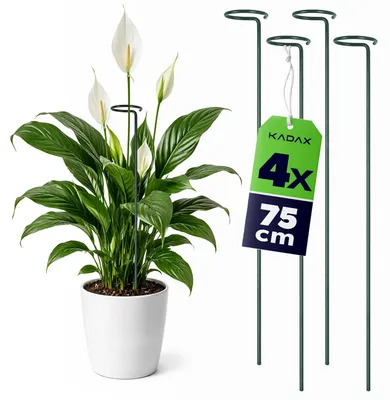 Produktbild von KADAX Pflanzenstützen 75 cm, 4er Set, Blumenstützen aus Stahl, Pflanzenhalter für Zimmerpflanzen, Metall Pflanzstäbe zur Stabilisierung von Stängeln und Blüten