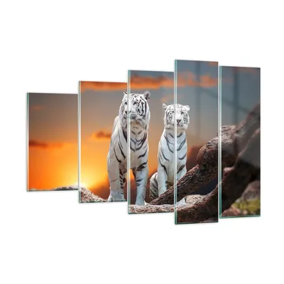 Produktbild von Bilder auf glas - Tiger weiß Rock Sonnenuntergang - 150x100cm - Glasbilder - Wandbilder - Kunstdruck - Wanddekoration aus Glas - Glas Bilder - Wandbild auf Glas - GEG150x100-2901
