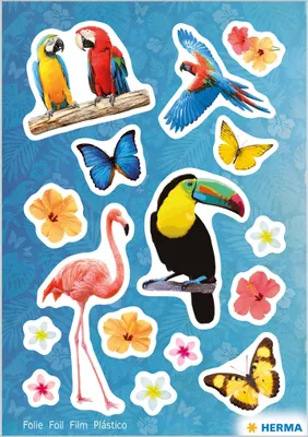 Produktbild von HERMA 15215 10x Sticker MAGIC Paradies, Folie