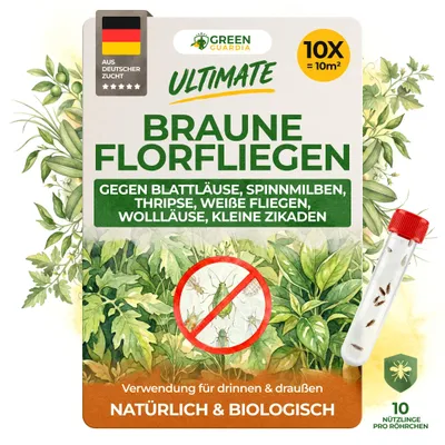 Produktbild von Green Guardia Braune Florfliegen gegen Blattläuse - 10x Röhrchen - Blattläuse bekämpfen, Wollläuse bekämpfen uvm, natürliche Schädlingsbekämpfung
