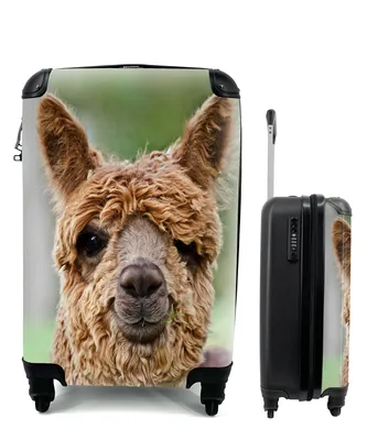 Produktbild von MuchoWow® Koffer Handgepäck Trolley Rollkoffer Kleine Reisekoffer mit 4 Rollen - Alpaka - Porträt - Tier - Cabin Size < 55x40x23 cm & 55x40x20 cm - Fotokoffer - Kabinenkoffer - Boardgepäck - Reise-Box - Reisekoffer - Reisegepäck - Koffer mit Bild - Trolley für Kinder