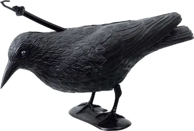Zdjęcie produktu dla Stocker, 43x14x24 cm, figura kruka, strach na wróble, kolor czarny. Jeden rozmiar