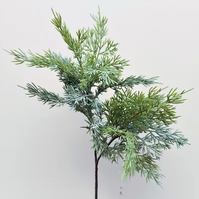 Produktbild von artplants.de Kunst Zedernzweig BALTHILDE, grün, 80cm - Künstlicher Zedernzweig