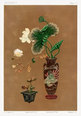 Immagine prodotto di Poster 70x100cm Fiori in vaso, G.A. Audsley Vintage per il soggiorno