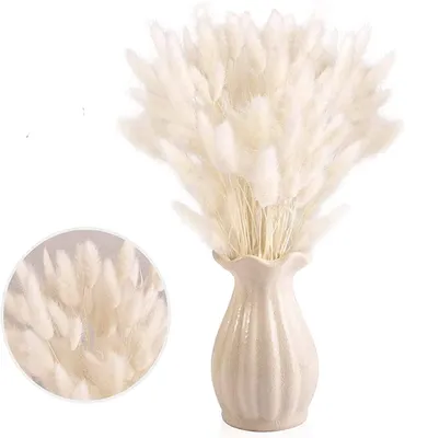Trockenblumen Pampasgras, 30 Stk., 42 cm, Weiß, Natur