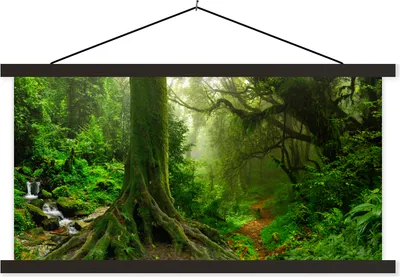 Produktbild von MuchoWow® Textilposter Dschungel - Grün - Asien 120x60 cm mit schwarzem Rahmen - Dekoration Schlafzimmer