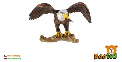 Produktbild von Weißkopfseeadler gerädert