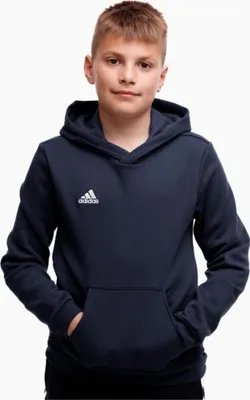 Image de Bluza adidas ENTRADA 22 Hoody H57517 164 cm