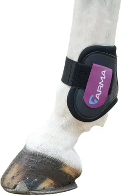 Immagine prodotto di ARMA - Stivali Fetlock ER252 (Pony/Cavallo piccolo(Cob)) (Nero/Plum)