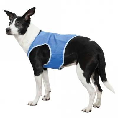 Produktbild von TRIXIE 30131, Hund, Jacke, XS, Blau, PVA, Einfarbig