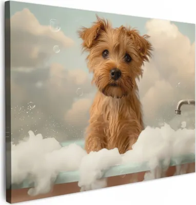 Produktbild von MuchoWow® - Leinwandbilder - Hund - Bad - Tiere - Schaumstoff, Wandbild, Wanddeko Bilder Wohnzimmer, 70x50 cm