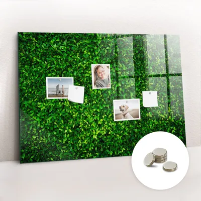 Obrázek produktu pro Magnetická Tabule na Zeď Skleněná - Memo Board Kleněnou Přední Stranou - 5 magnetů v balení - 100x70 cm - Listy živého plotu