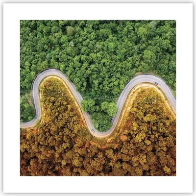 Produktbild von Poster - Poster ohne Rahmen - Luftaufnahmen Weg Wald - 40x40 cm - Wand Bild - Wanddeko - Wandbilder - Kunstposter - Wandposter - Bilder - Kunstdruck - Wanddekoration - Wandbild - P2XAC40x40-4659