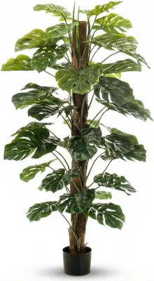 Zdjęcie produktu dla Sztuczna roślina Monstera na stojaku – ok. 150 cm – Sztuczna roślina Monstera z ozdobnym stojakiem – Nie wymagająca pielęgnacji roślina dekoracyjna do salonu, biura i recepcji