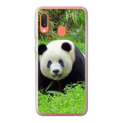 Produktbild von MuchoWow® Handyhülle Schutzhülle Hülle für Samsung Galaxy A20e Panda - Gras - Tier Silikon Softcase Handy Hülle - Abdeckung