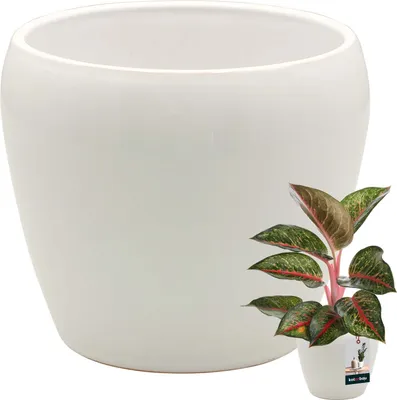 Immagine prodotto di KOTARBAU® Vaso da fiori bianco interno rotondo ⌀ 12 cm H: 12 cm vaso da fiori in Vetroceramica smaltata fioriera interna vaso da piante in Vetroceramica fioriera interna per orchidee vaso da fiori in Vetroceramica vaso da fiori grande