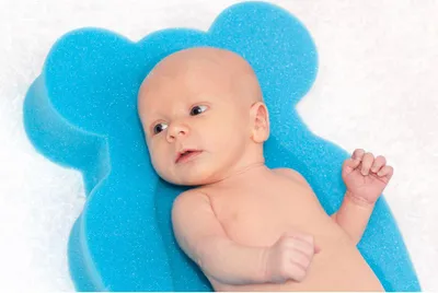 Produktbild von Schaumstoffkissen maxi New Baby Bär grün