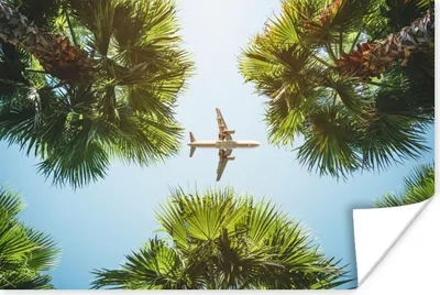 Produktbild von MuchoWow® Poster Flugzeug - Palmenblatt - Sommer 30x20 cm - Plakate - Print