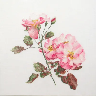 Produktbild von Thea Gouverr telpakket "Rosa Leersum Evenweave", 44x44cm