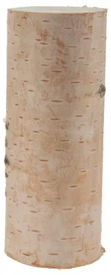 Immagine prodotto di Tronchi di betulla per decorazioni artigianali in 8 x 20 cm