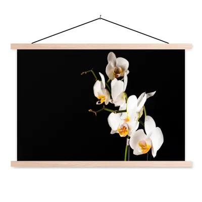 Produktbild von MuchoWow® Textilposter Orchidee - Blumen - Pflanzen - Botanisch 120x80 cm mit holzfarbenen Rahmen - Aufhängeset