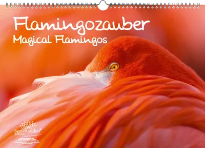 Produktbild von Flamingozauber DIN A3 Kalender - Immerwährender Kalender   - Seelenzauber