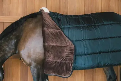 Produktbild von Kentucky Horsewear Turnout Rug Comfort Liner PRO Unterdecke 200g