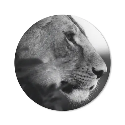 Produktbild von MuchoWow® Mauspad Mousepad Löwe - Wilde Tiere - Dschungel - Schwarz - Weiß 20x20 cm - Mousepads - Maus Mat - Pad - Mausunterlage - Schreibtischmatte
