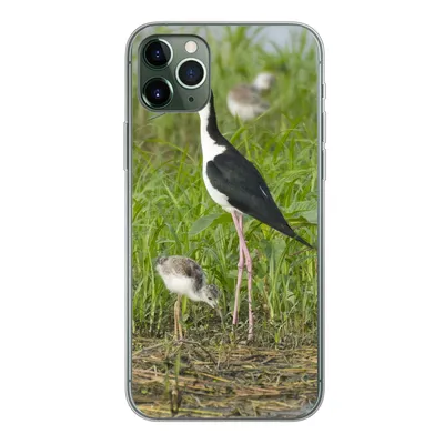 Produktbild von MuchoWow® Handyhülle Schutzhülle Hülle für iPhone 11 Pro Max Vogel - Gras - Küken - Sumpf Silikon Softcase Handy Hülle - Schutz