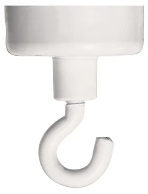 Image de FRANKEN  HM25 FRANKEN Hakenmagnet, Haftkraft: 4.000 g, Durchmesser: 25 mm