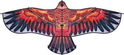 Obrázek produktu pro KIK Obrovský drak Eagle 160cm + šňůra KX9673