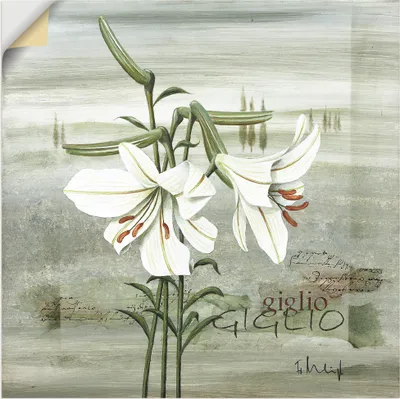 Produktbild von ARTland Wandbild, selbstklebend Lilie Größe: 100x100 cm